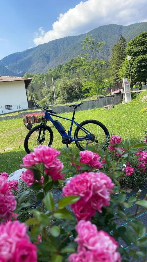 San Giorgio  B&B Stari Mlin - Vecchio Mulino מראה חיצוני תמונה